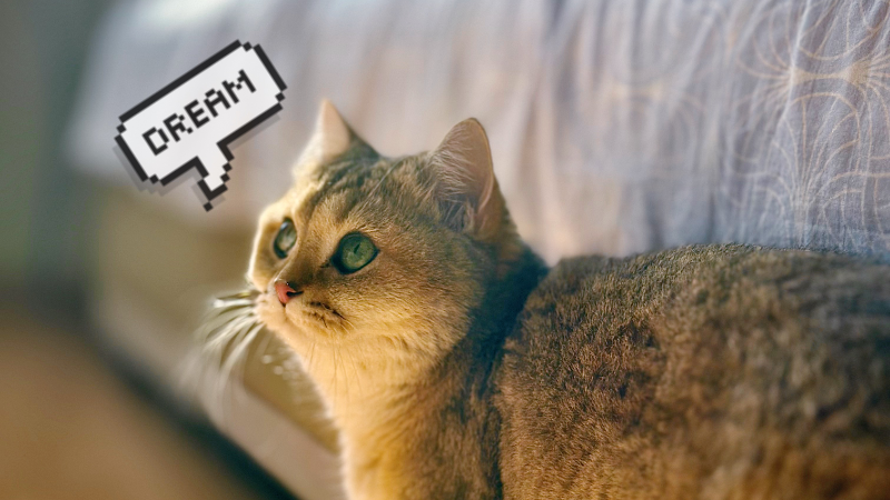 Каждому ли доступна мечта?